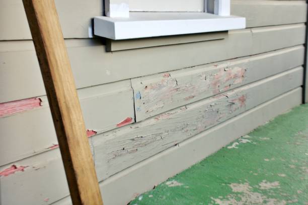 Best Fascia and Soffit Installation  in Fairwood, WA